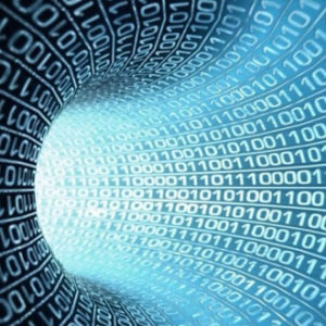 datamanagement2